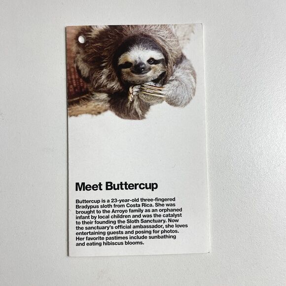 American Apparel Buttercup Sloth Costa Rica Ethical T-Shirt Top Shirt Mens Large - Picture 6 of 8